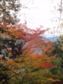 20111127095839