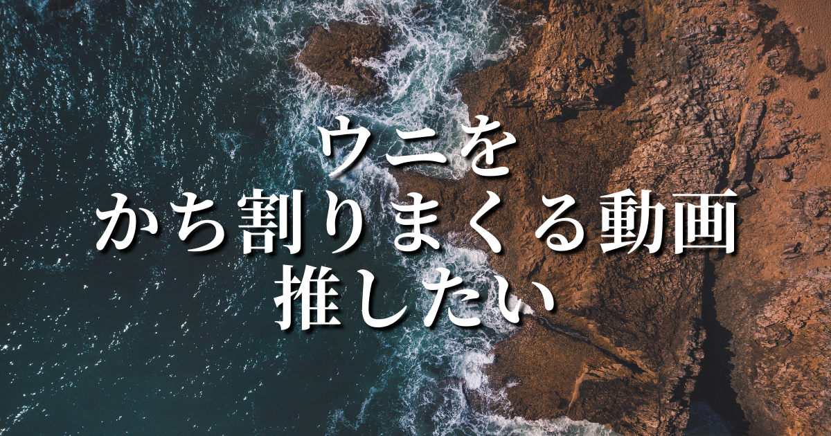ウニをただひたすらにかち割る動画を推したい パリピ流ウェイウェイ