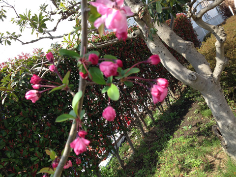 20111025masa.jpg
