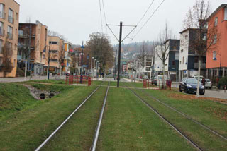 20111114fureiburg4.jpg