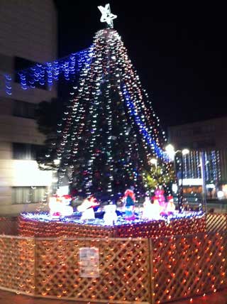 20111204tree.jpg