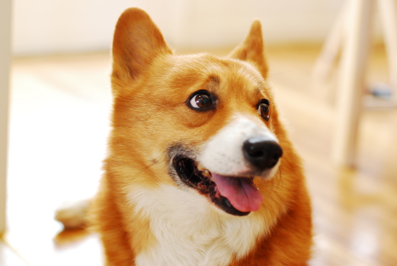 f:id:naoya:20070614024349j:image