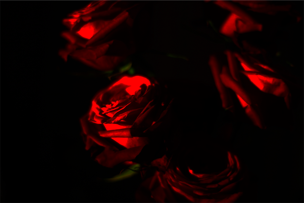 f:id:naoyablog:20190321144105p:image f:id:naoyablog:20190321144105p:image