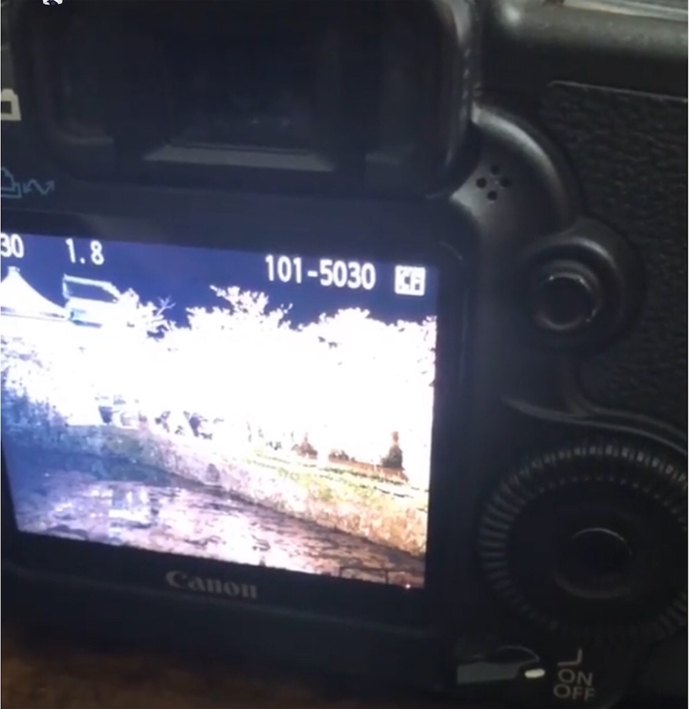 f:id:naoyablog:20190407190927j:image f:id:naoyablog:20190407190927j:image