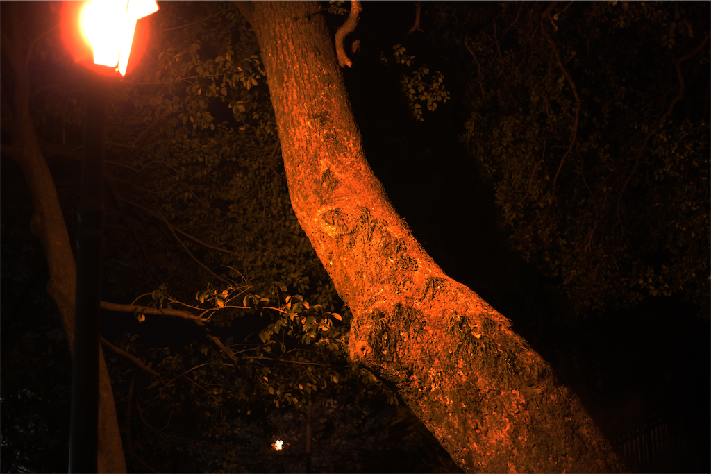 f:id:naoyablog:20190407224245p:image f:id:naoyablog:20190407224245p:image
