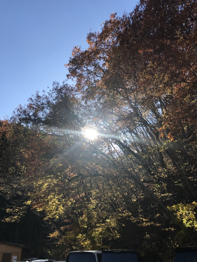 f:id:naoyafs1:20180104142825j:plain