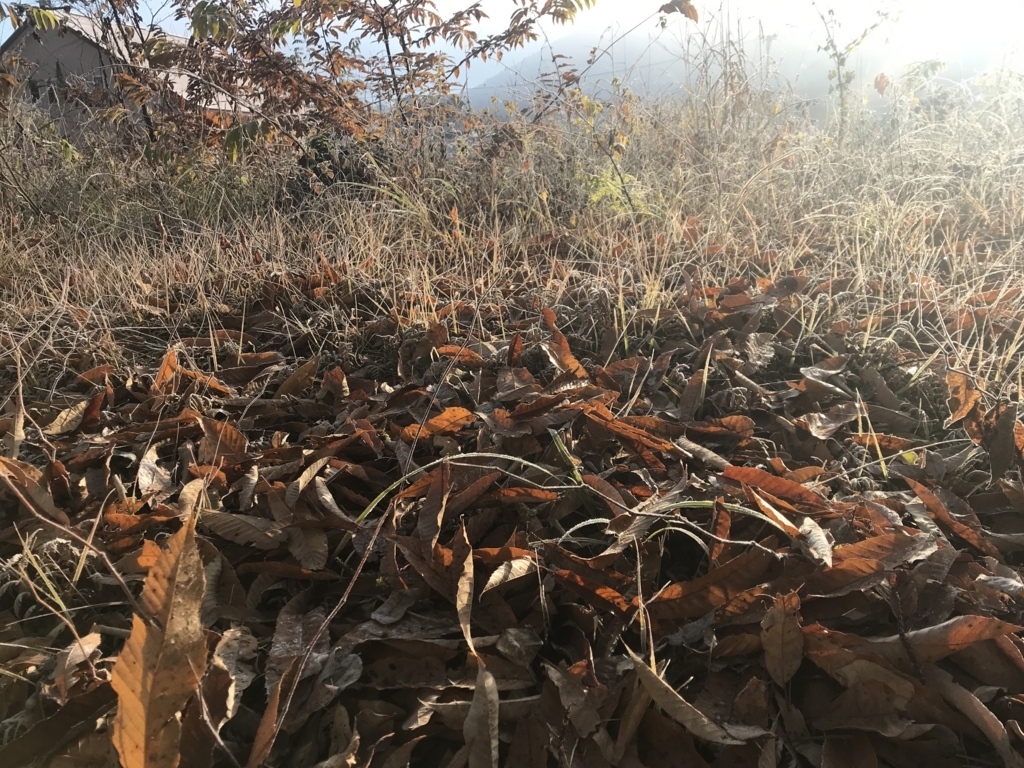 f:id:naoyafs1:20180104143837j:plain f:id:naoyafs1:20180104143837j:plain