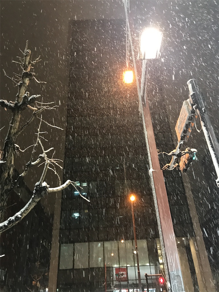 f:id:naoyafs1:20180124141043j:image