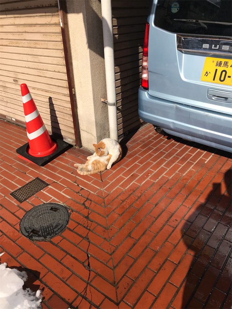 f:id:naoyafs1:20180124141300j:image