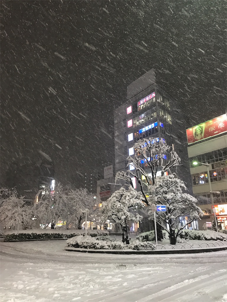 f:id:naoyafs1:20180124184608j:image