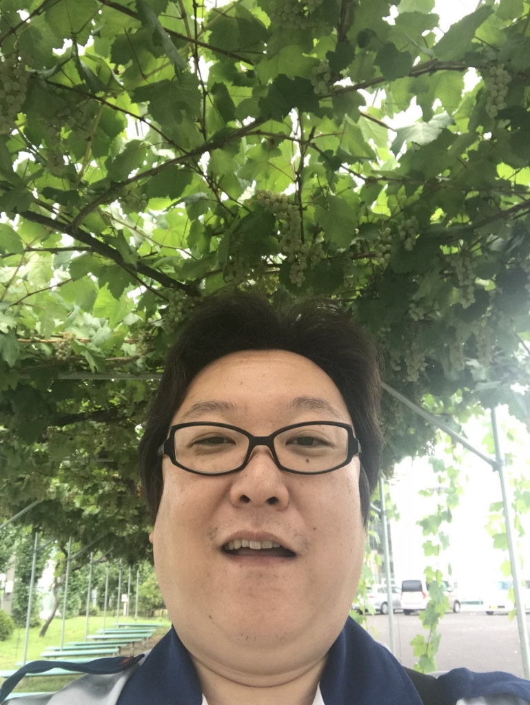 f:id:naoyafs1:20180813140812j:plain