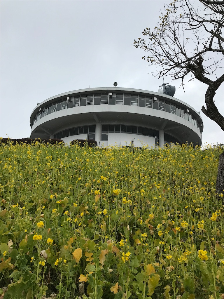 f:id:naoyafs1:20190114115938j:image