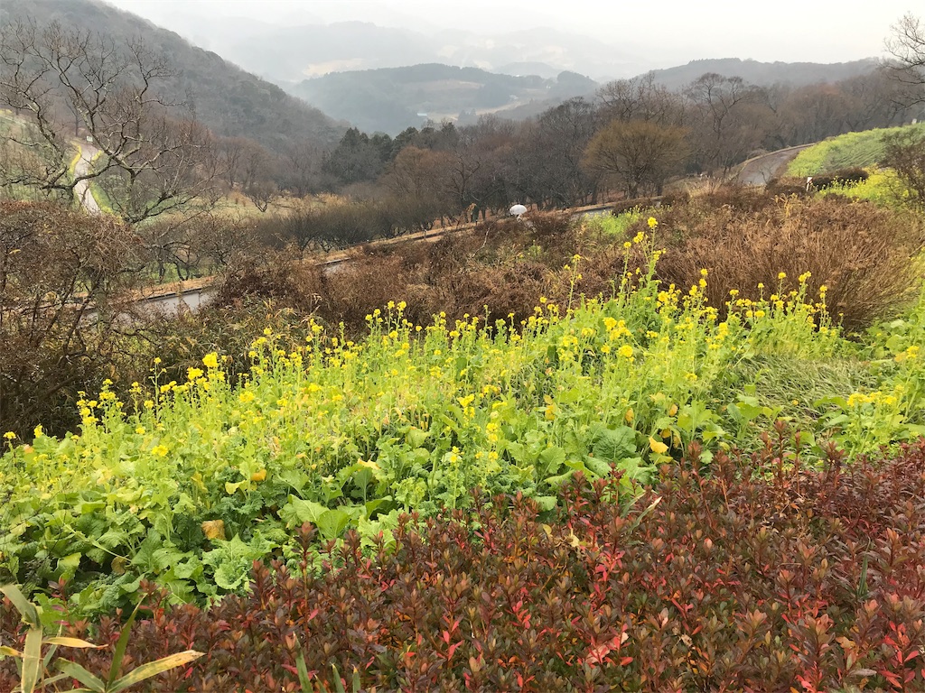 f:id:naoyafs1:20190114115949j:image