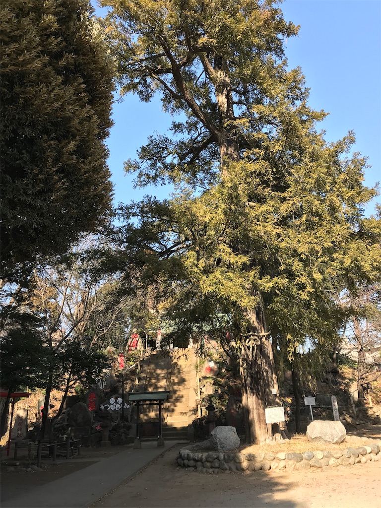 f:id:naoyafs1:20190123160914j:image
