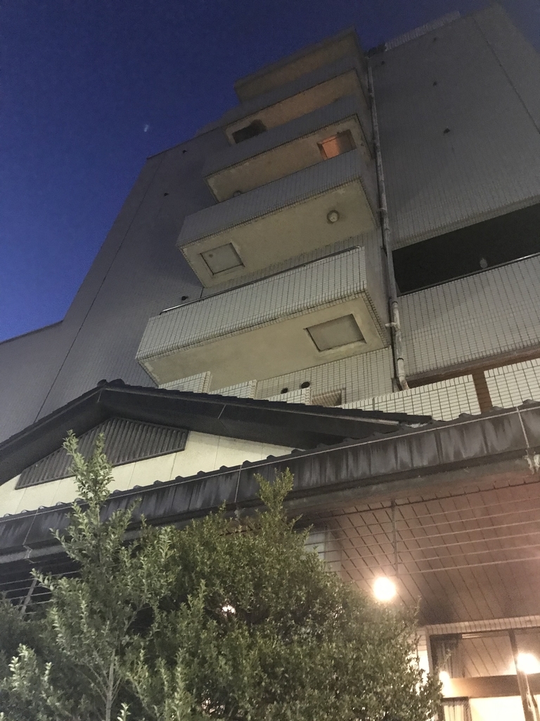 f:id:naoyafs1:20190129121149j:plain