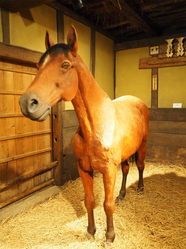 f:id:naoyafs1:20190228123929j:image f:id:naoyafs1:20190228123929j:image