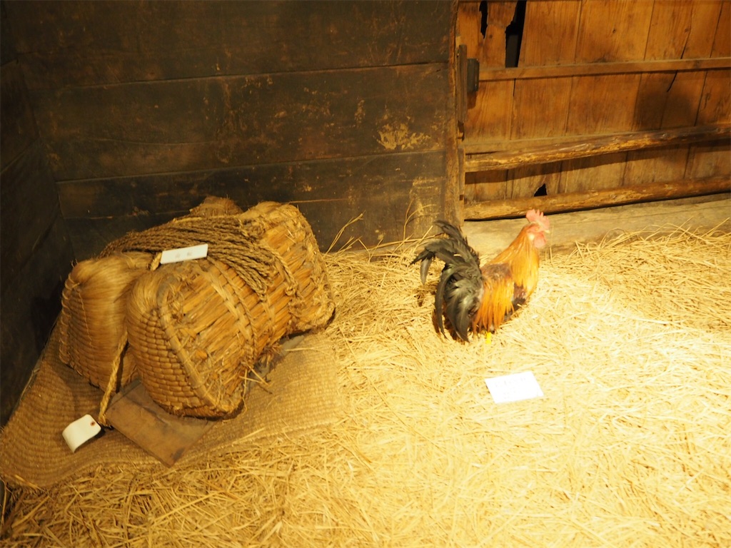 f:id:naoyafs1:20190228124010j:image f:id:naoyafs1:20190228124010j:image