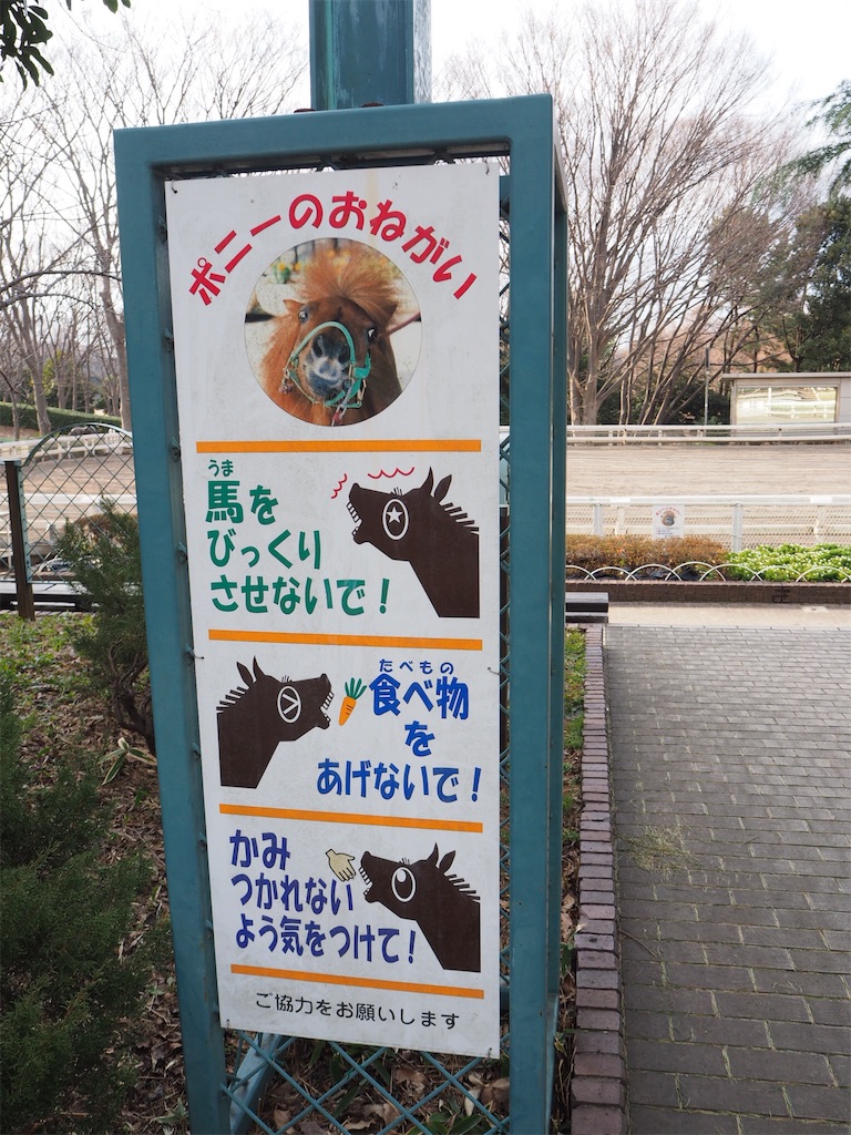 f:id:naoyafs1:20190228124417j:image f:id:naoyafs1:20190228124417j:image