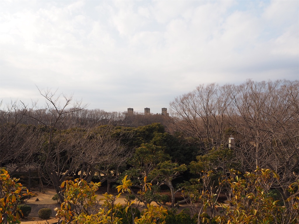 f:id:naoyafs1:20190228124436j:image f:id:naoyafs1:20190228124436j:image