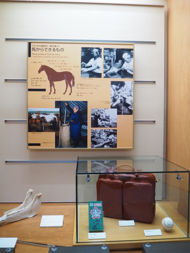 f:id:naoyafs1:20190228124442j:image f:id:naoyafs1:20190228124442j:image