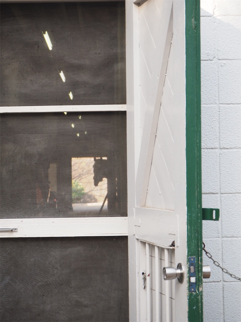 f:id:naoyafs1:20190228124455j:image f:id:naoyafs1:20190228124455j:image