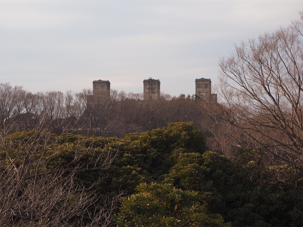 f:id:naoyafs1:20190228124511j:image f:id:naoyafs1:20190228124511j:image