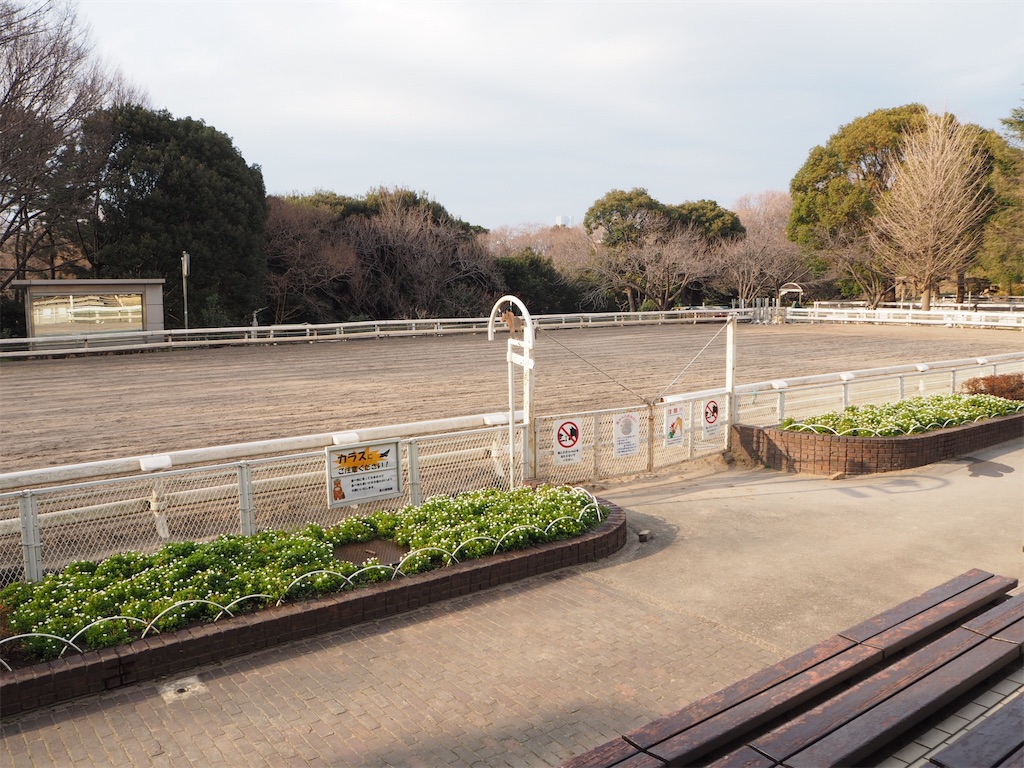 f:id:naoyafs1:20190228124516j:image f:id:naoyafs1:20190228124516j:image