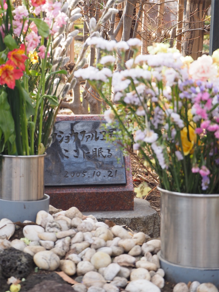 f:id:naoyafs1:20190228124532j:image f:id:naoyafs1:20190228124532j:image