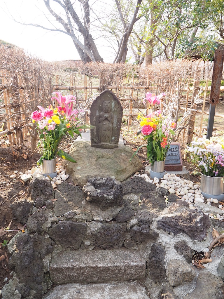 f:id:naoyafs1:20190228124549j:image f:id:naoyafs1:20190228124549j:image