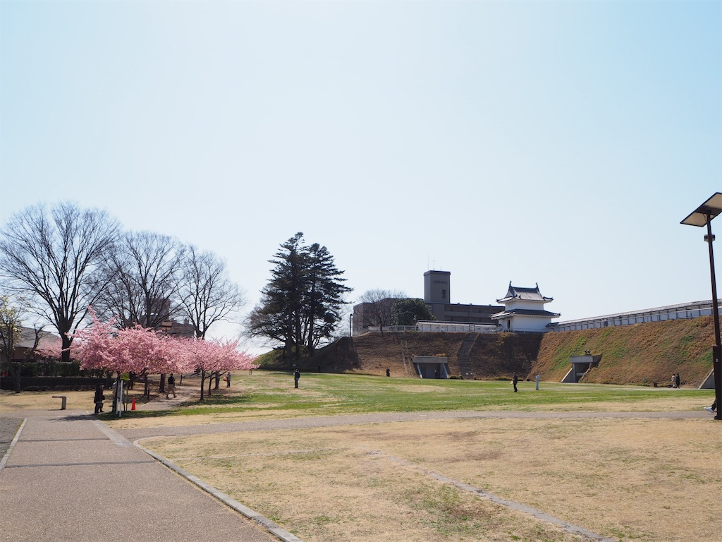 f:id:naoyafs1:20190320191048j:image