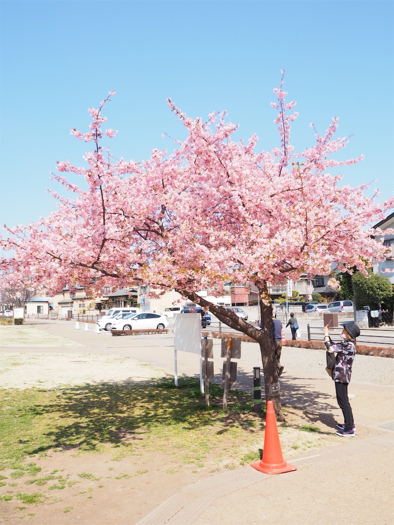 f:id:naoyafs1:20190320191643j:image