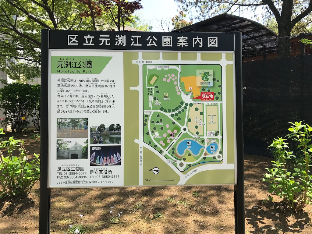 f:id:naoyafs1:20190418182619j:image