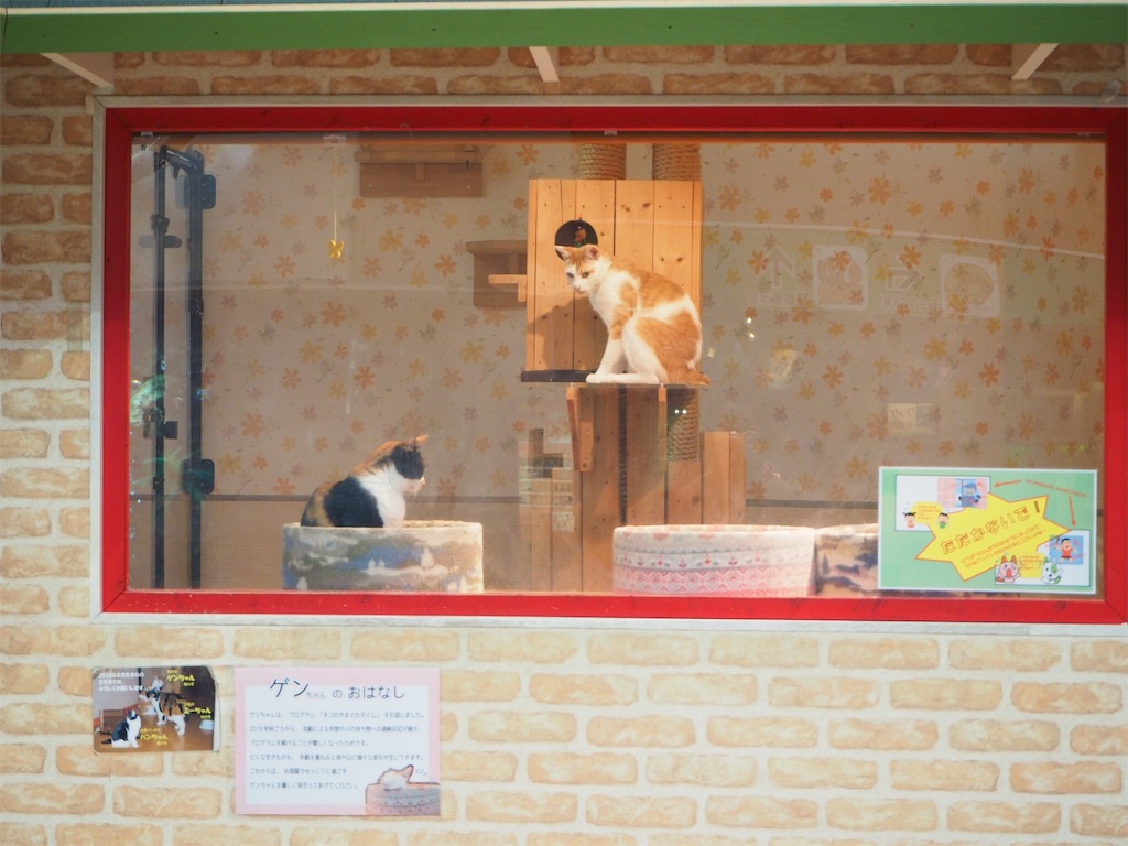 f:id:naoyafs1:20190418182629j:image
