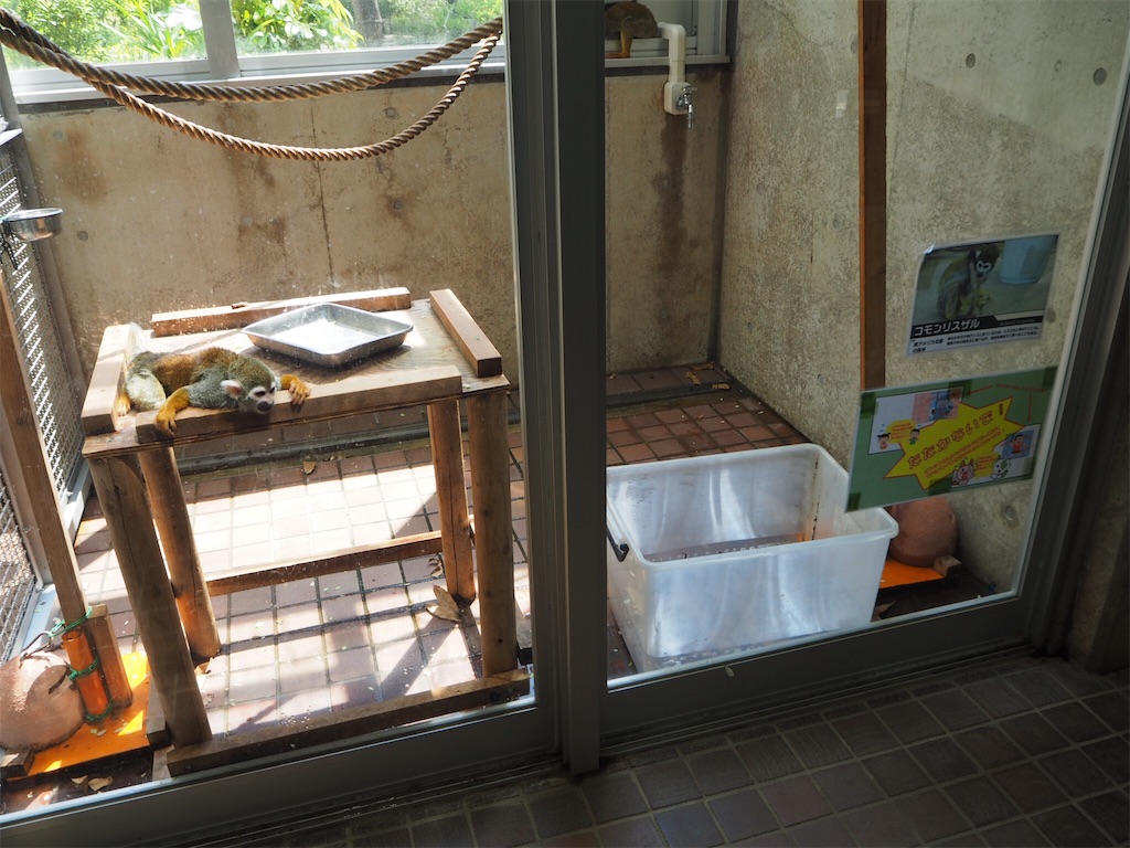 f:id:naoyafs1:20190418184206j:image