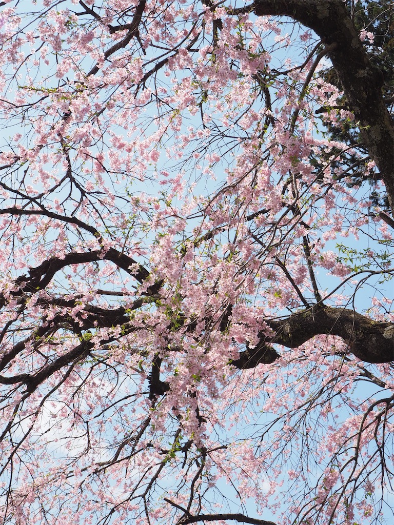 f:id:naoyafs1:20190423223625j:image