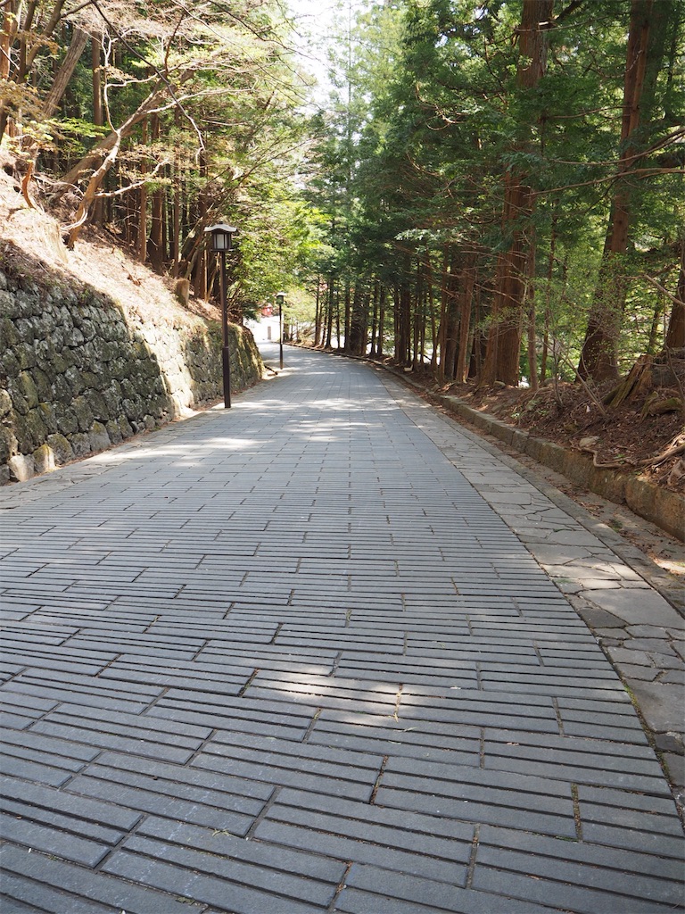 f:id:naoyafs1:20190423223645j:image