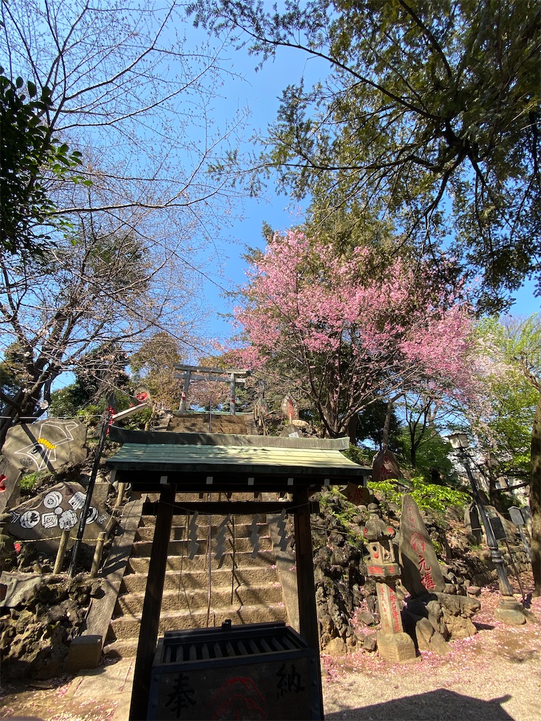 f:id:naoyafs1:20200318214451j:image