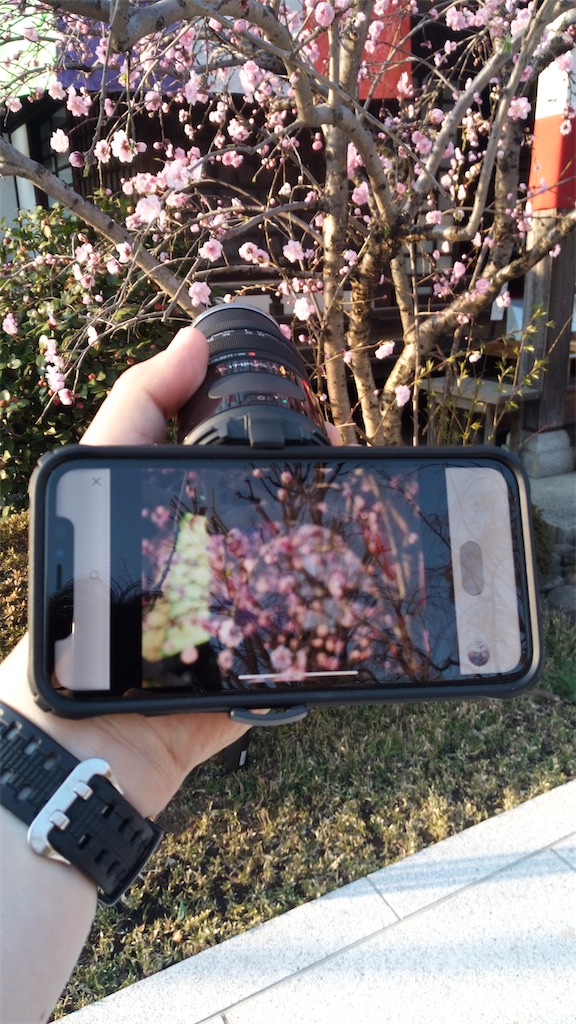 f:id:naoyafs1:20200318214631j:image