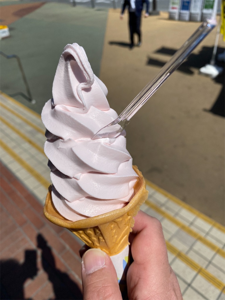 f:id:naoyafs1:20200326234049j:image