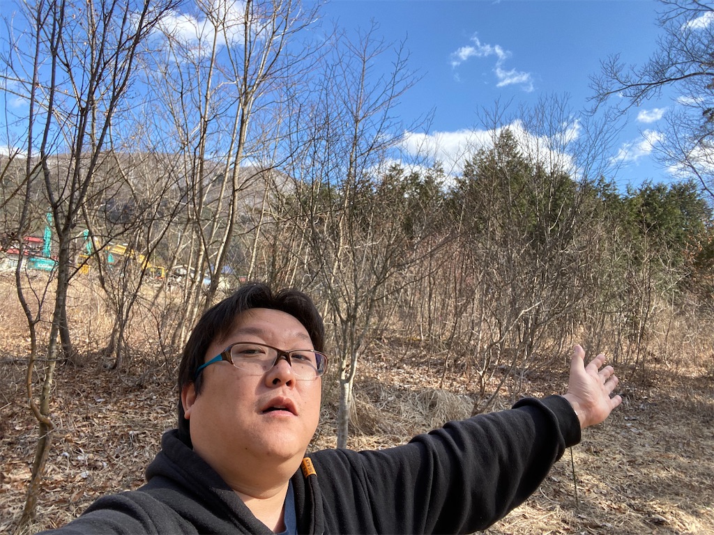f:id:naoyafs1:20200326234256j:image
