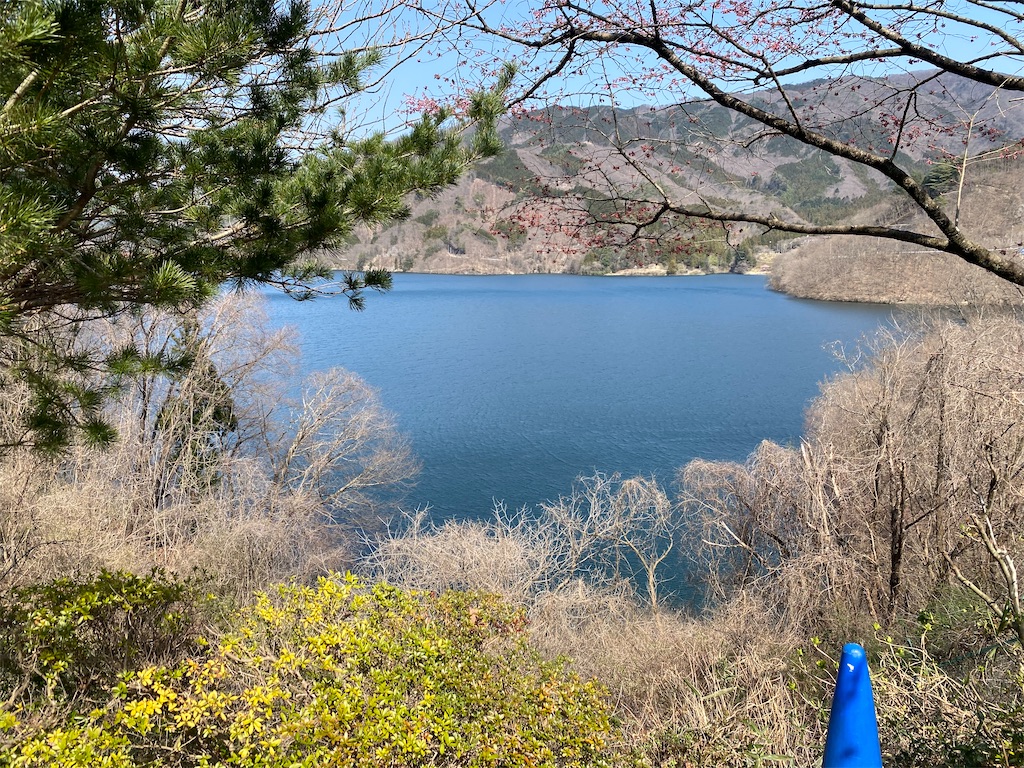 f:id:naoyafs1:20200327114724j:image