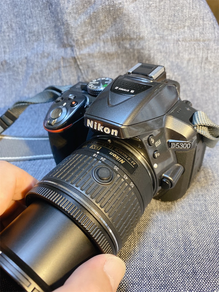 Nikon デジタル一眼レフカメラ AF-P DX 18-55mm AF-P DX NIKKOR 18-55mm f/3.5-5.6G VR - 概要 | NIKKORレンズ