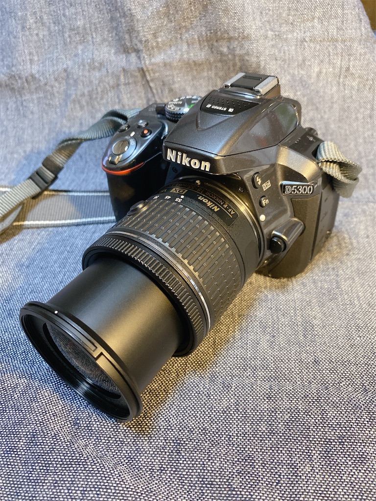 AF-P DX NIKKOR 18-55mm f/3.5-5.6G VRを購入。 - カメラ屋元