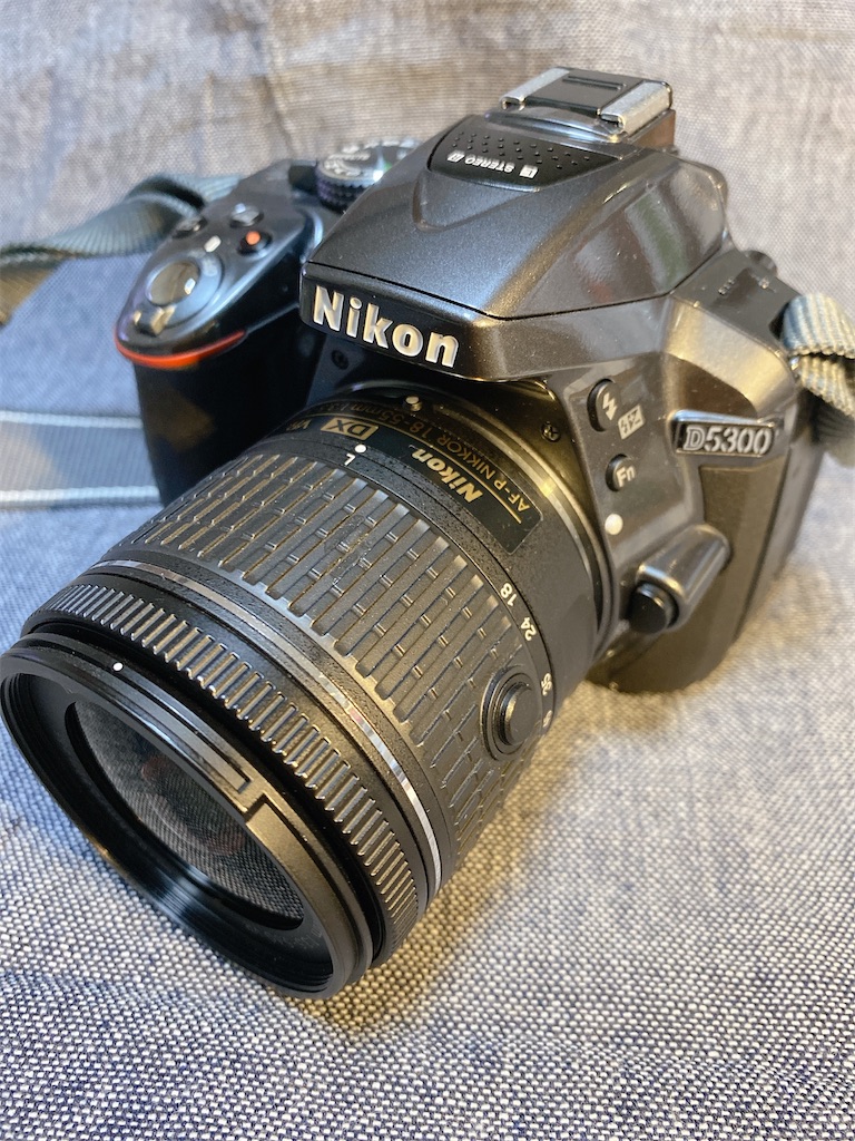 AF-P DX NIKKOR 18-55mm f/3.5-5.6G VRを購入。 - カメラ屋元公式中の AF-P DX NIKKOR 18-55mm f/3.5-5.6G VRを購入。 - カメラ屋元公式中の