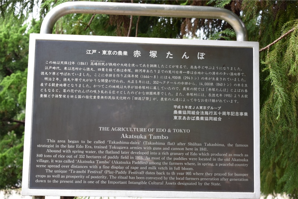 f:id:naoyafs1:20200730185409j:image