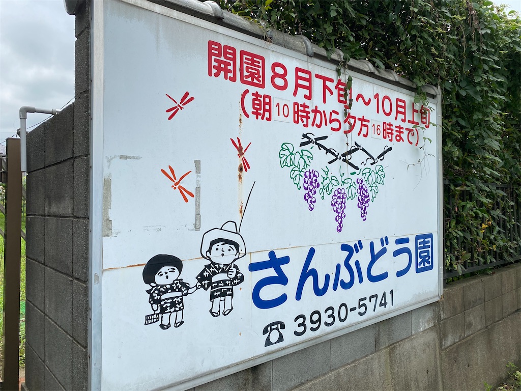 f:id:naoyafs1:20200730185554j:image f:id:naoyafs1:20200730185554j:image