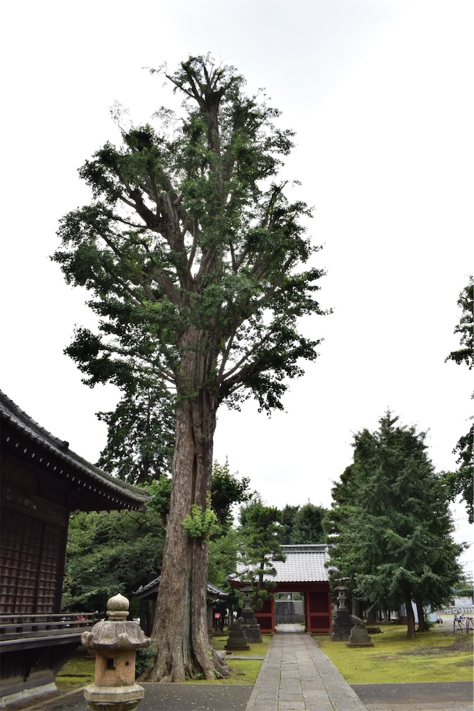 f:id:naoyafs1:20200730185613j:image