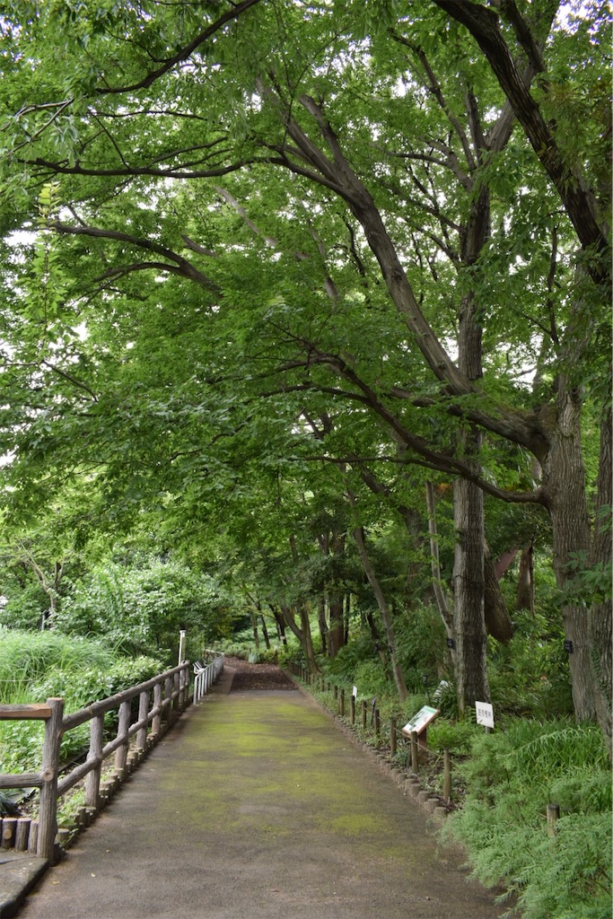 f:id:naoyafs1:20200730185806j:image
