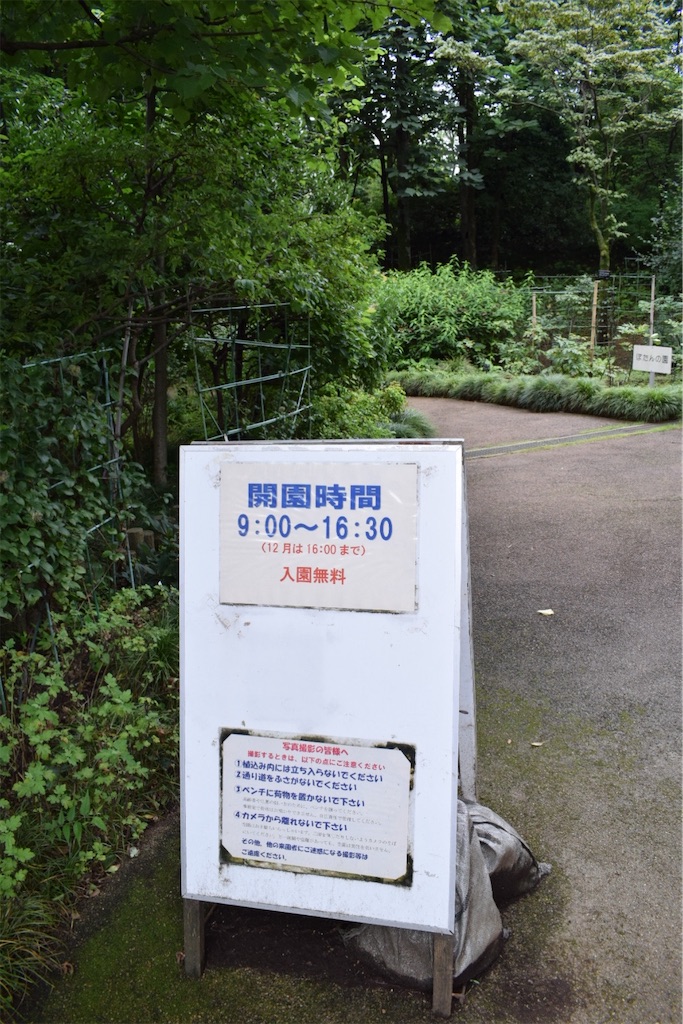 f:id:naoyafs1:20200730185809j:image
