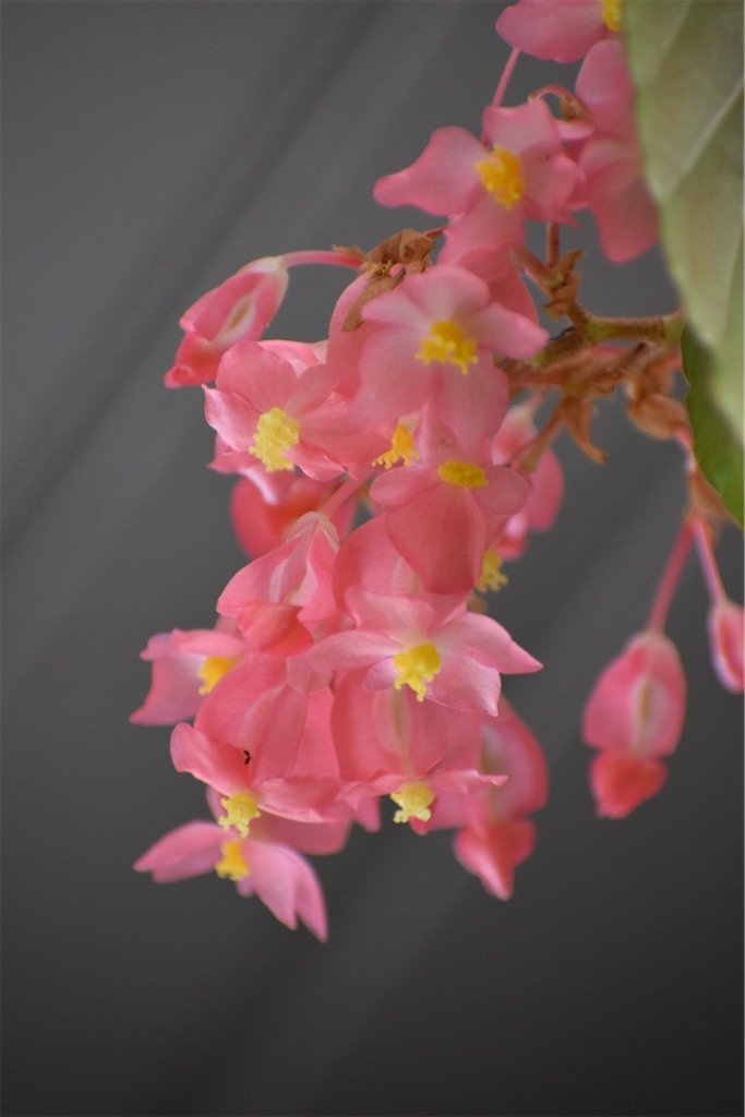 f:id:naoyafs1:20200812152605j:image